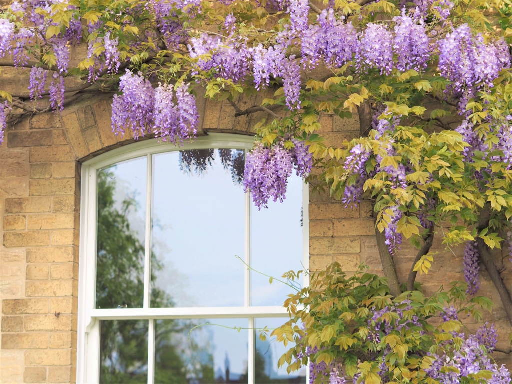 Double glazed window for better energy efficiency