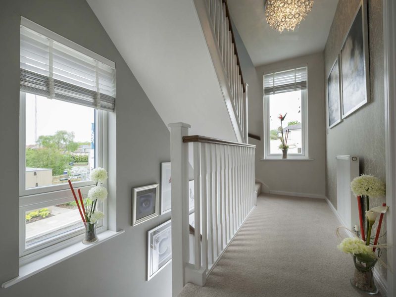 Internal Residence Windows