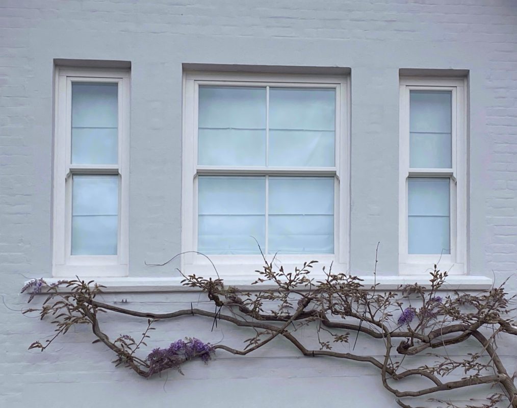 mold around windows
